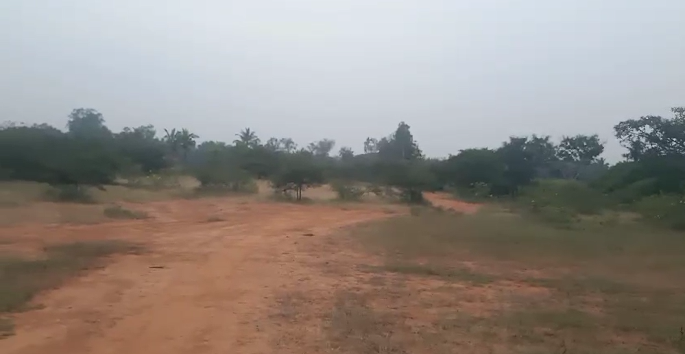  32 acre agri land for sale in Malavalli Mandya dist 